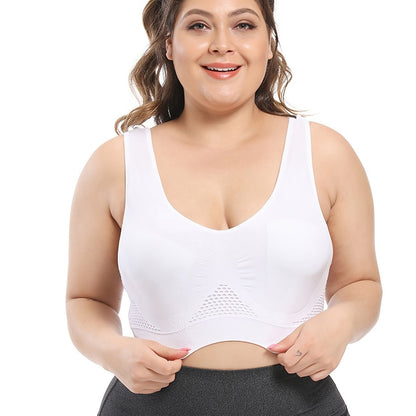 [Gentle Care] Plus Size Seamless Sports Bra for Women - Purple, Breathable Mesh Fabric, Push - Up with Removable Pads, Comfort Fit Vest Style, Sizes 36XL to 40XL, Plus Size Bra - by PAWFECTWORLDS | PAWFECTWORLDS | , ,
