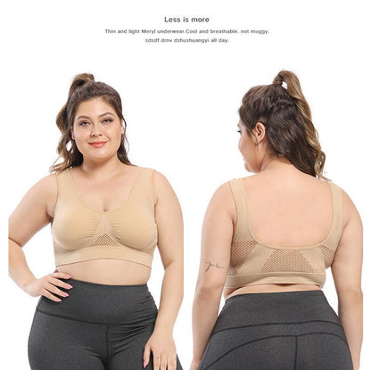 [Gentle Care] Plus Size Seamless Sports Bra for Women - Purple, Breathable Mesh Fabric, Push - Up with Removable Pads, Comfort Fit Vest Style, Sizes 36XL to 40XL, Plus Size Bra - by PAWFECTWORLDS | PAWFECTWORLDS | , ,