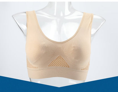 [Gentle Care] Plus Size Seamless Sports Bra for Women - Purple, Breathable Mesh Fabric, Push - Up with Removable Pads, Comfort Fit Vest Style, Sizes 36XL to 40XL, Plus Size Bra - by PAWFECTWORLDS | PAWFECTWORLDS | , ,