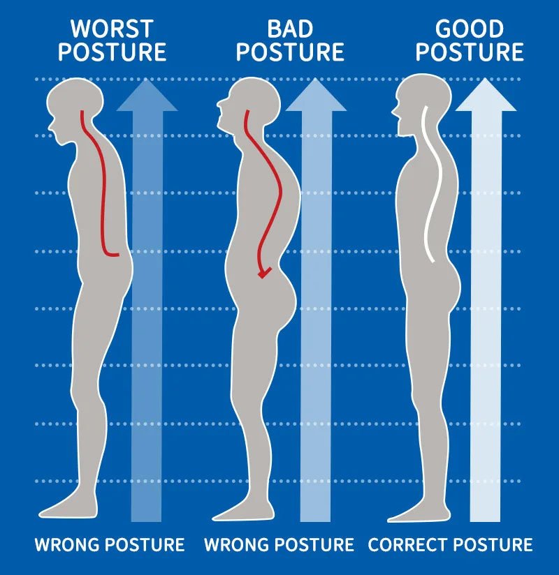 Men Slimming Body Shaper Belly Control Shapewear Man Shapers Modeling Underwear Waist Trainer Corrective Posture Vest Corset - by PAWFECTWORLDS | PAWFECTWORLDS | , ,