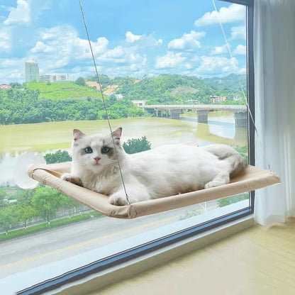 Ultra - Soft Cat Window Hammock Bed - Cozy Cloud - Like Perch for Feline Naptime - Securely Mounted, Perfect Space - Saving - by Does not apply | PAWFECTWORLDS | Cat Supplies, Home & Garden, Pet Products